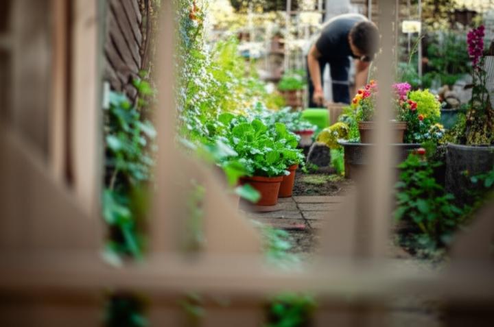 Milestones on the Path: Recognizing Progress in Mental Health Recovery